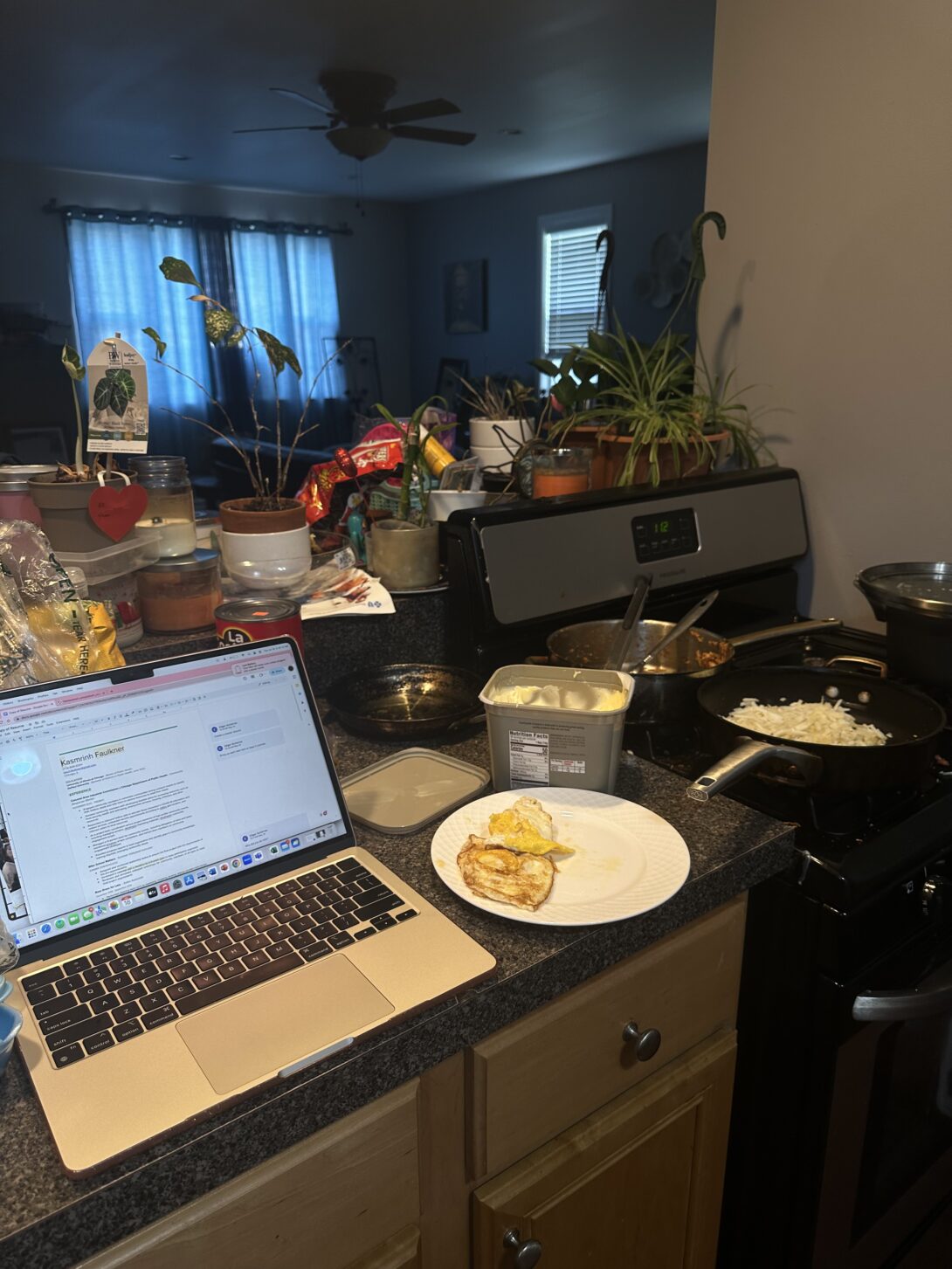 A cluttered kitchen counter of a multi-tasking student